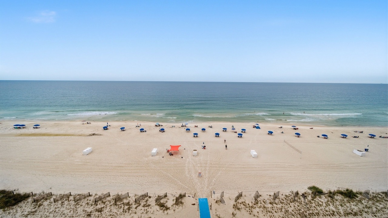 Photo of Others in Gulf Shores