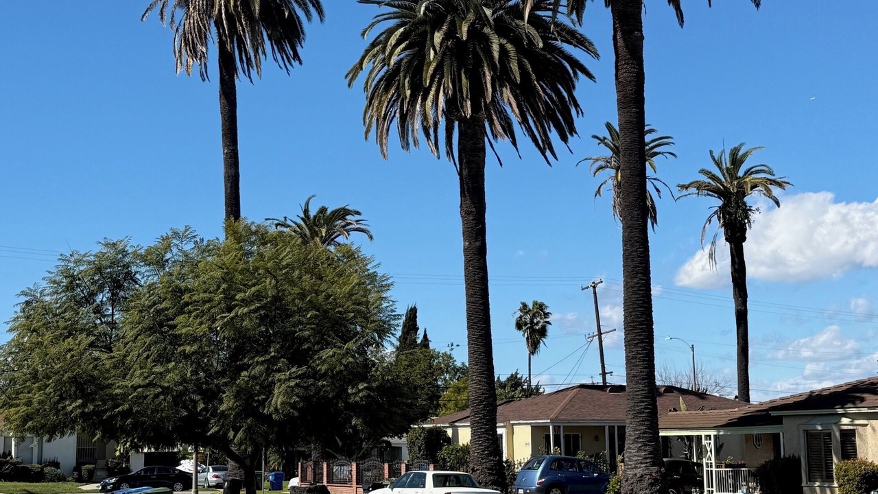 Photo of Others in Park Mesa Heights