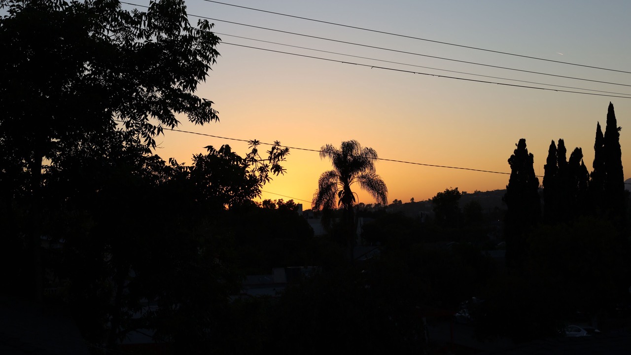 Photo of Others in Eagle Rock