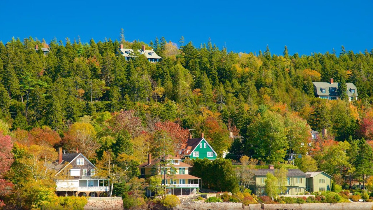 Photo of Outdoor in Seal Cove