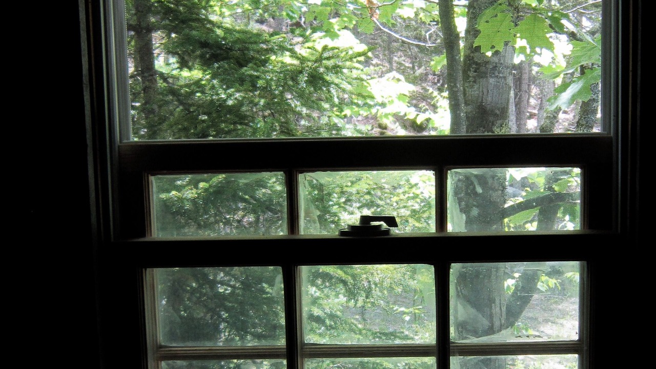 Photo of Others in Blue Hill