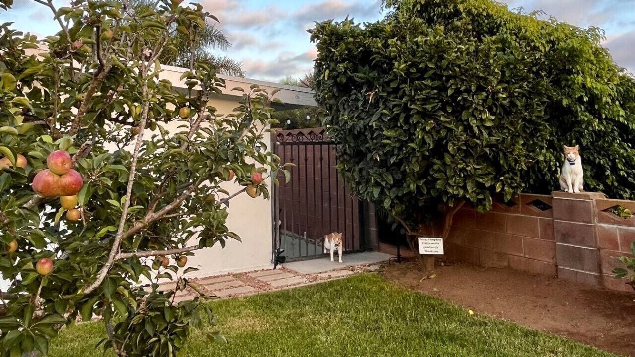 Photo of Outdoor in Townsite