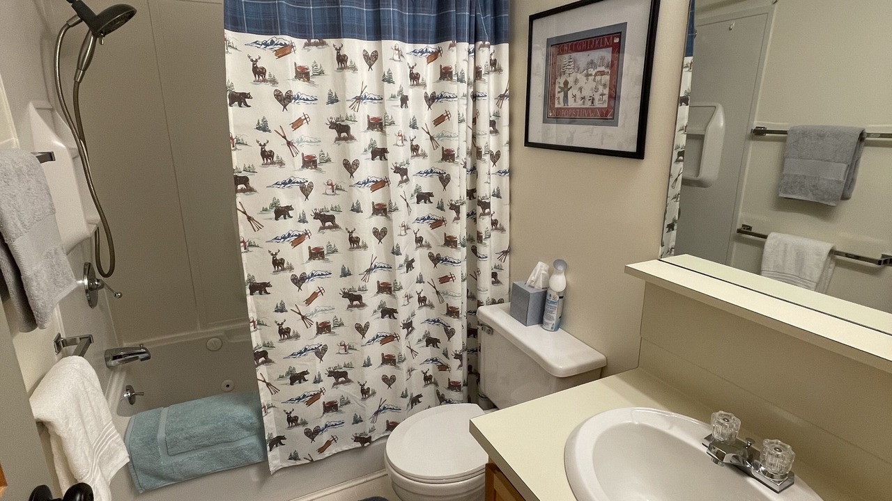 Photo of Bathroom in Carrabassett Valley