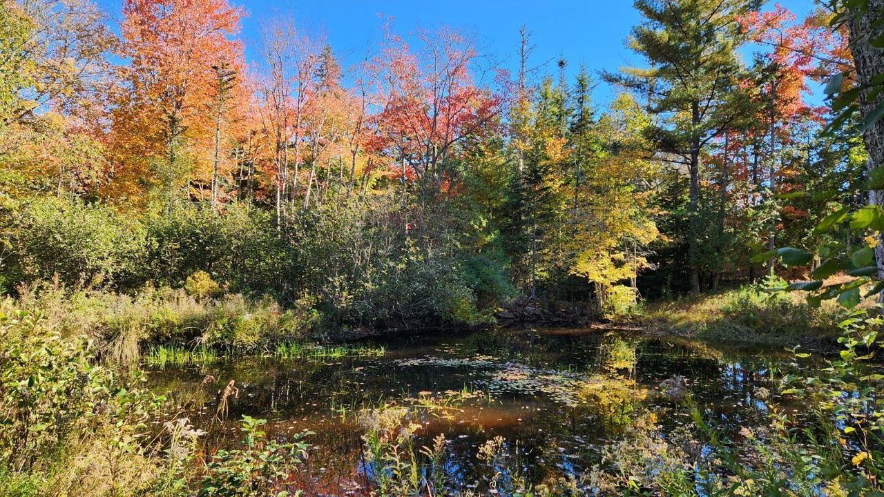 Photo of Outdoor in Milbridge