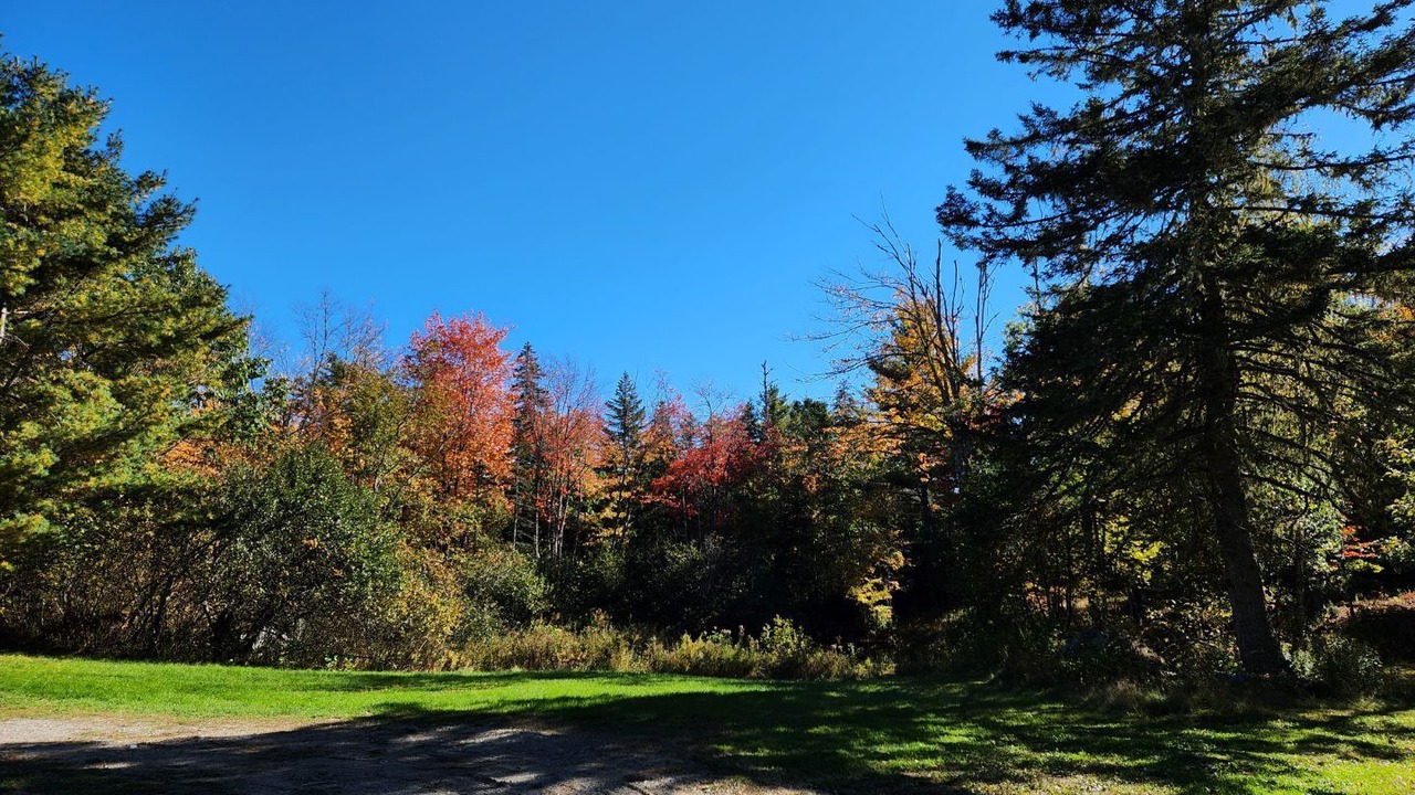 Photo of Outdoor in Milbridge