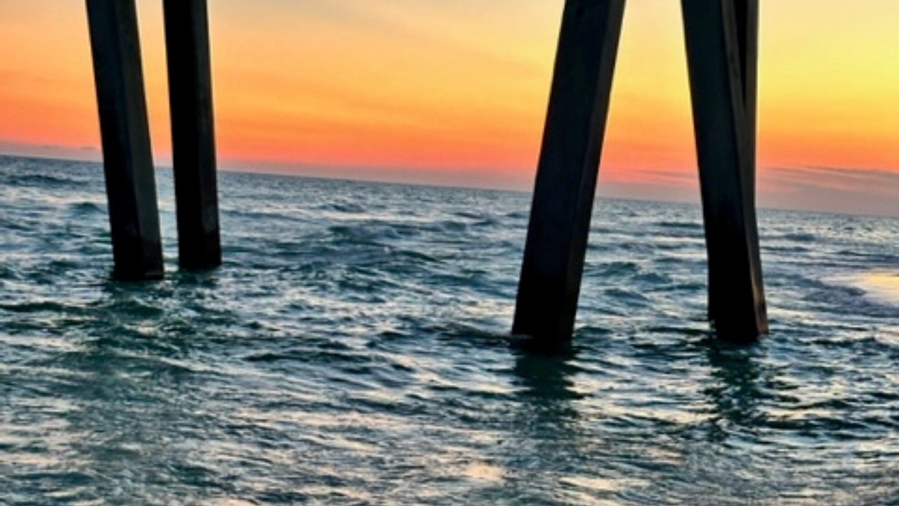 Photo of Others in Navarre
