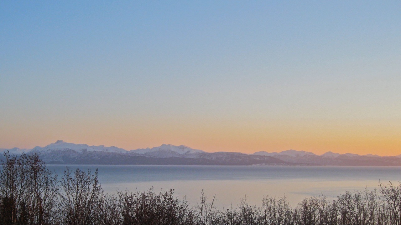 Photo of Others in Homer