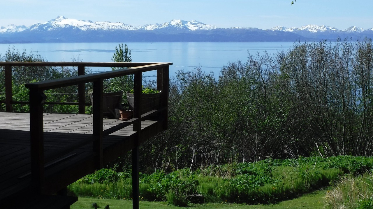Photo of Outdoor in Homer