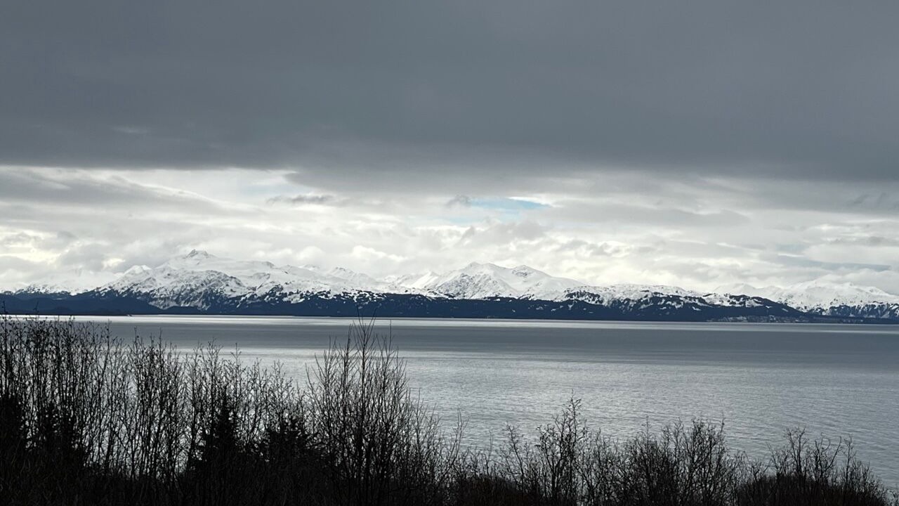 Photo of Others in Homer