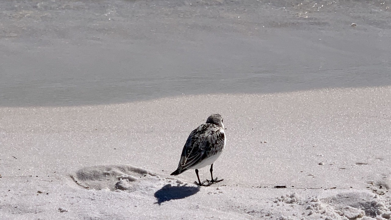Photo of Others in Crystal Shores