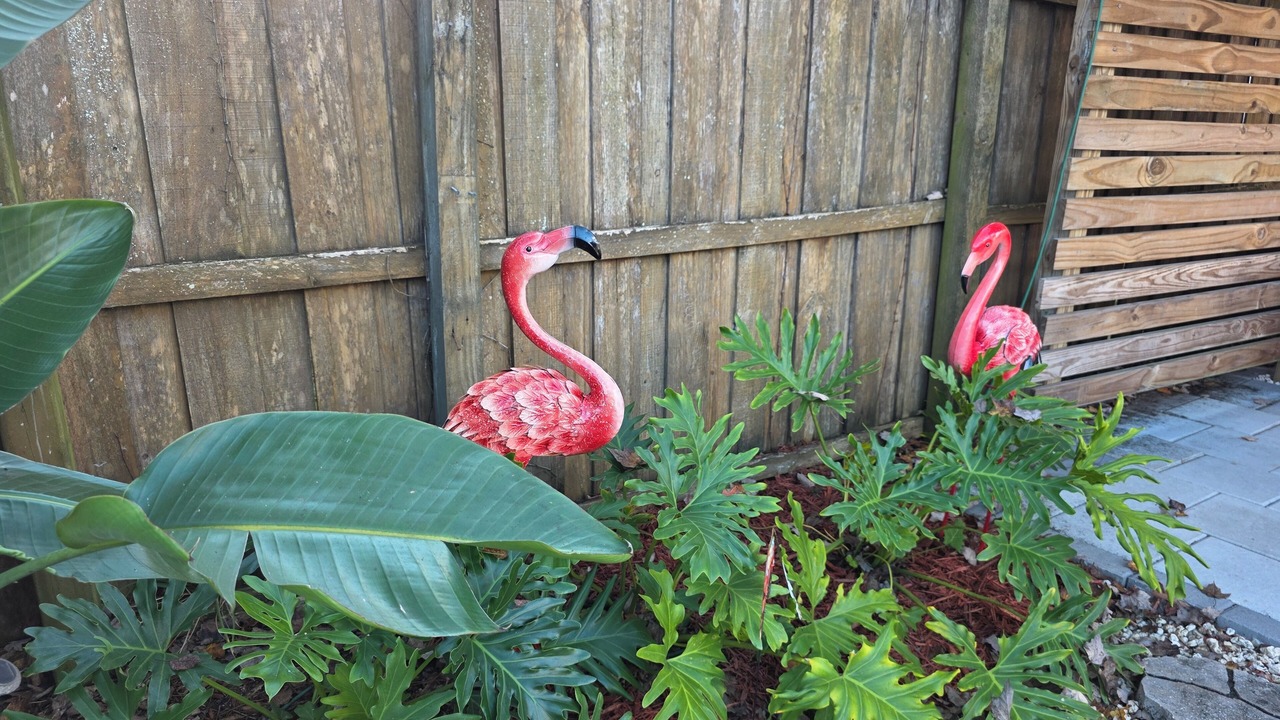 Photo of Outdoor in Northside