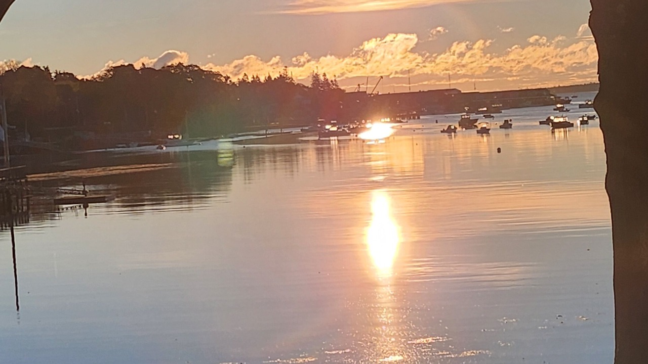 Photo of Others in Southwest Harbor