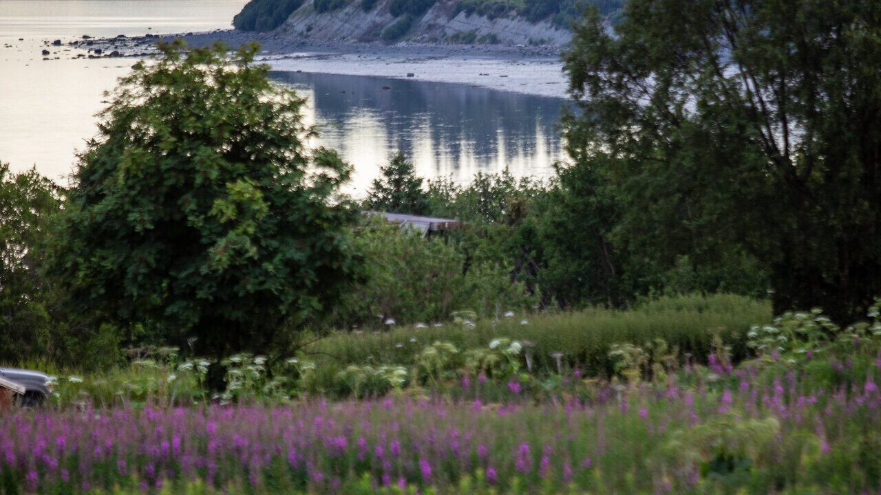 Photo of Others in Kachemak