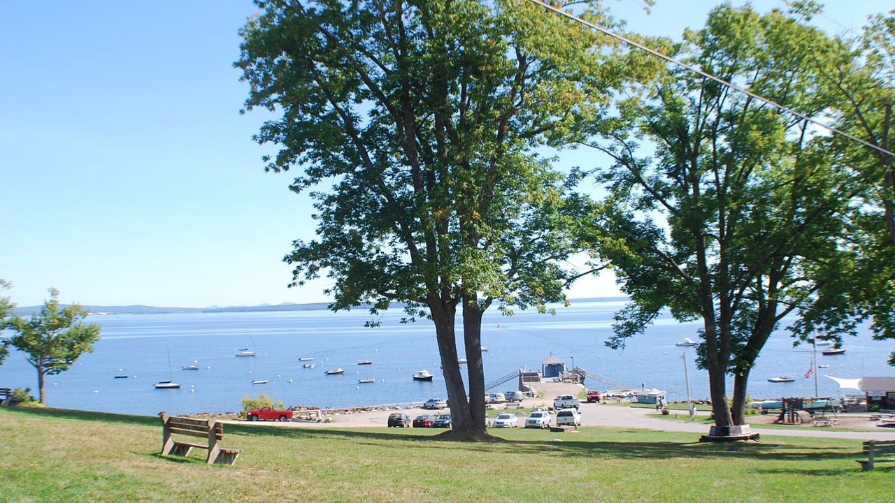 Photo of Others in Bayside
