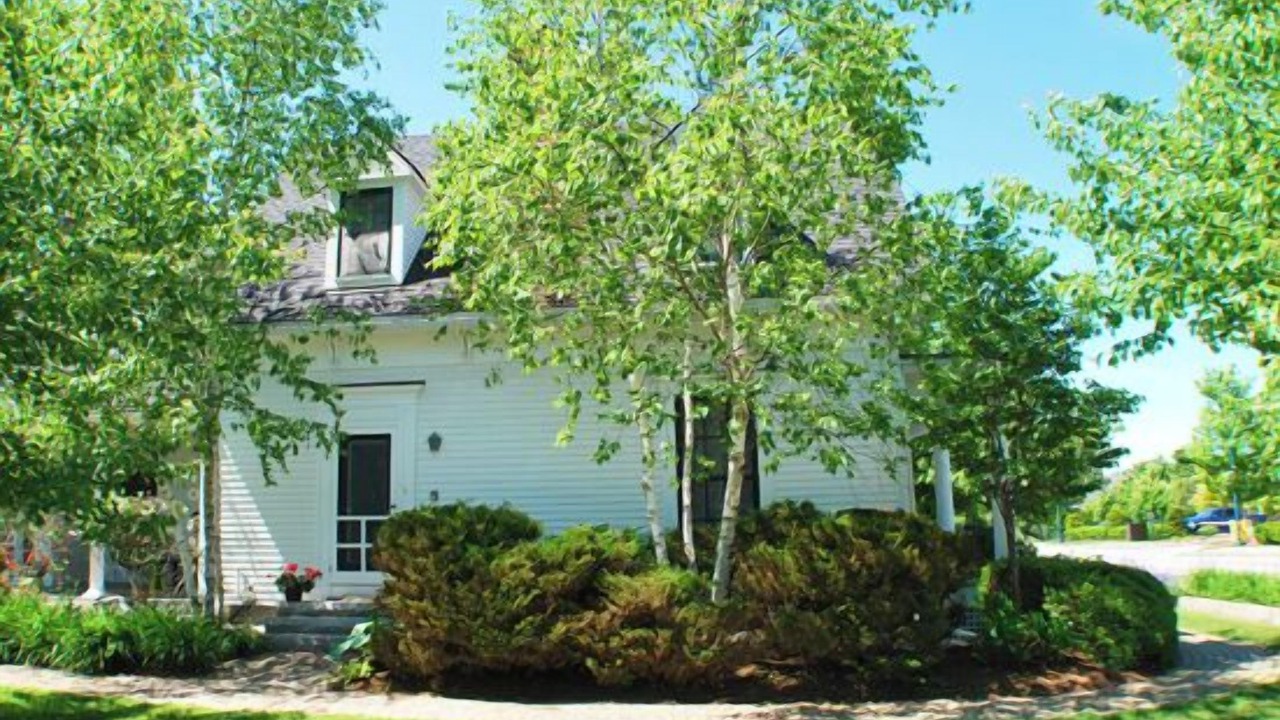 Photo of Others in Rockland