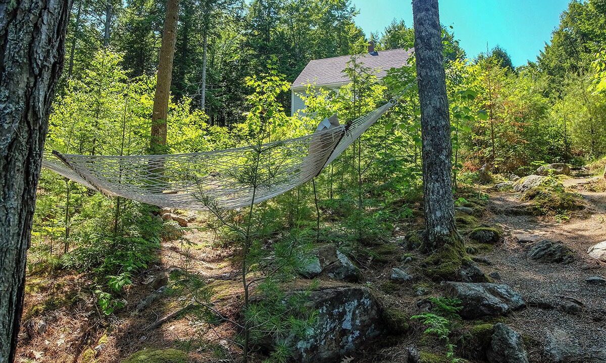Photo of Outdoor in Warren