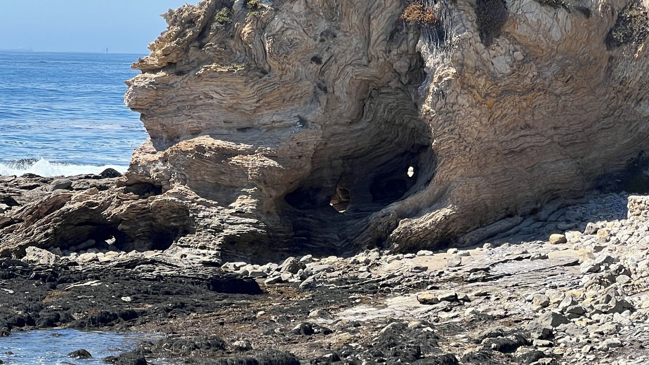 Photo of Others in Corona del Mar