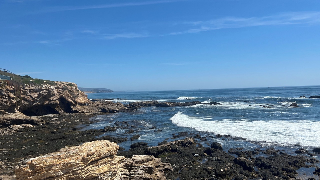 Photo of Others in Corona del Mar