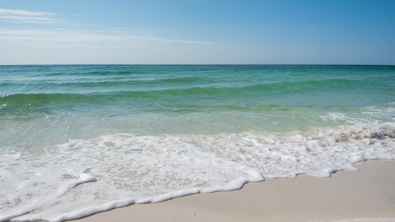Photo of Others in Navarre Beach