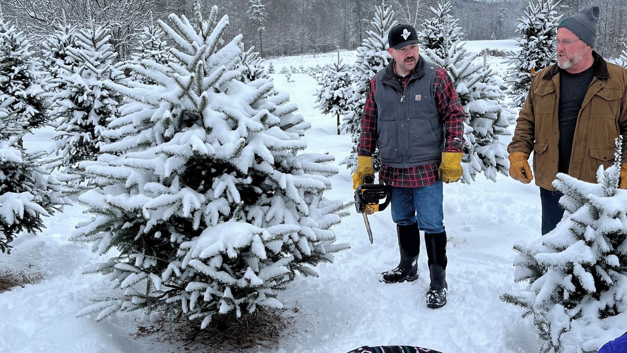 Photo of Others in Winterport
