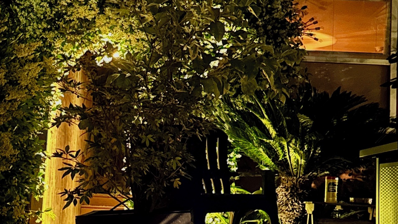 Photo of Outdoor in North Hollywood
