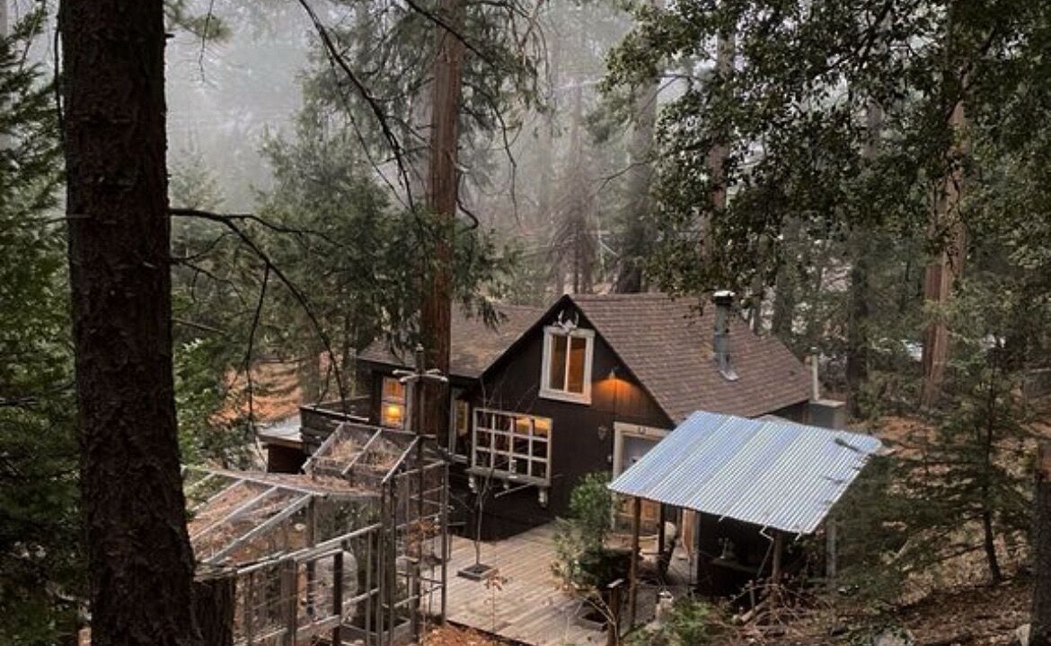 Photo of Outdoor in Pine Cove