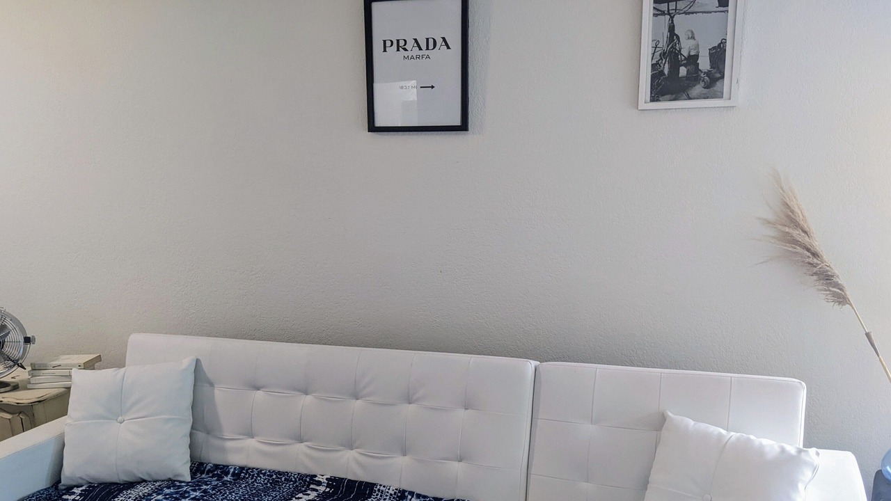 Photo of Others in Palms