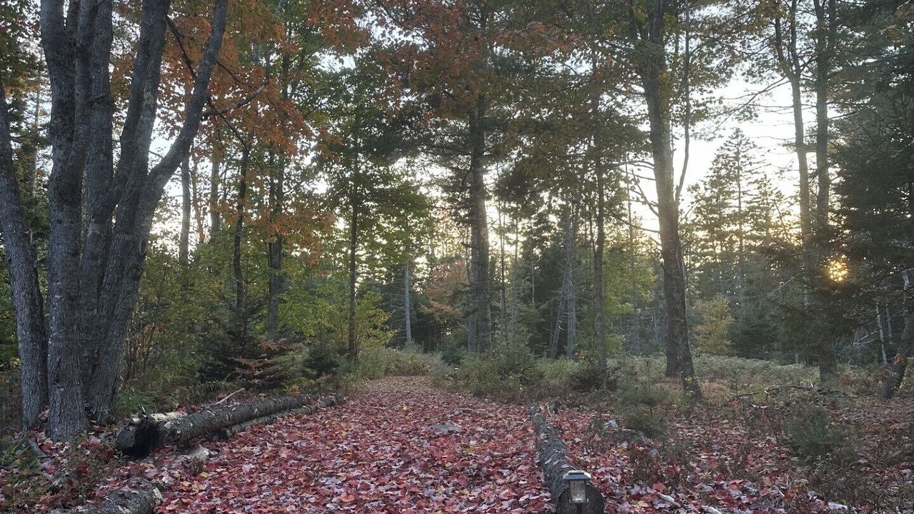 Photo of Others in Gouldsboro