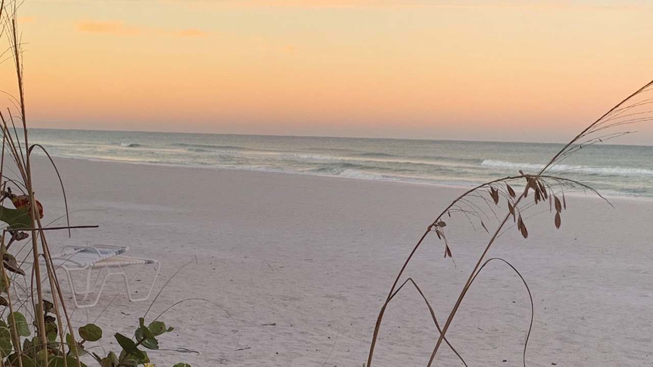 Photo of Others in Bradenton Beach