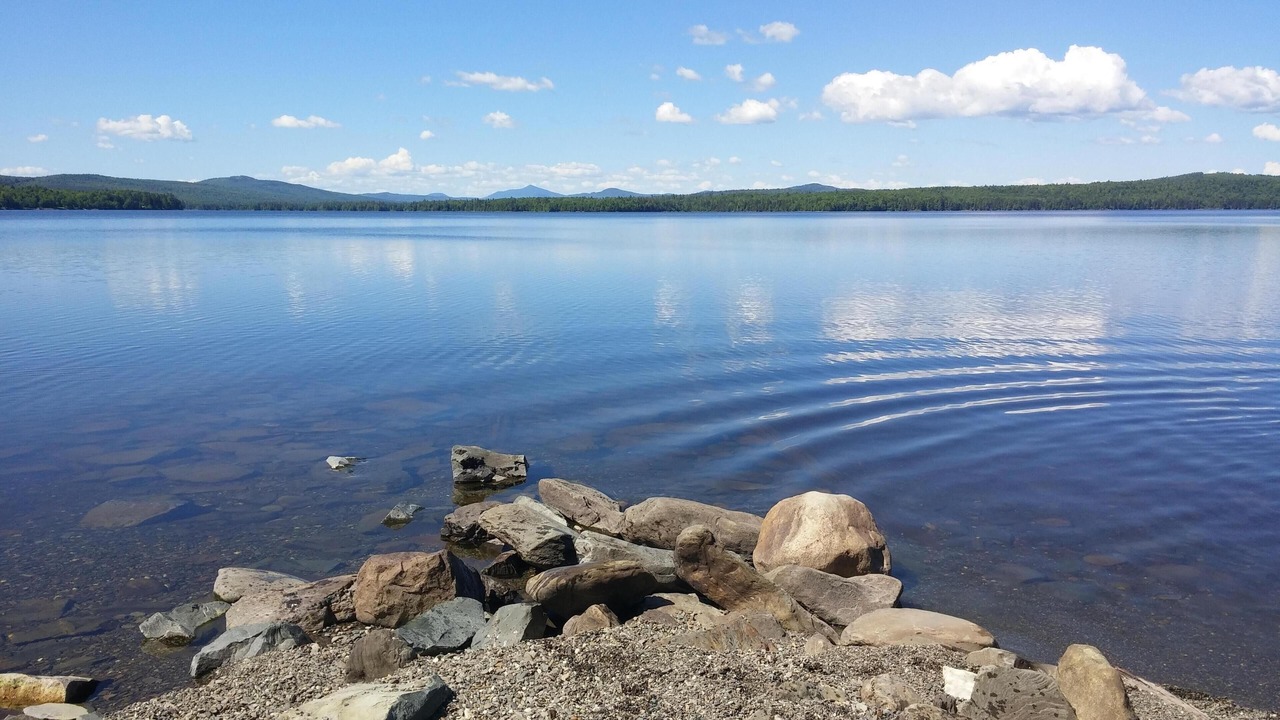 Photo of Others in Northeast Somerset