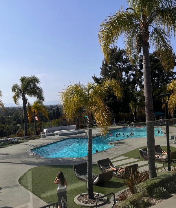 Photo of Others in Hollywood Hills