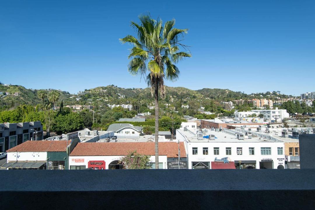 Photo of Others in Hollywood