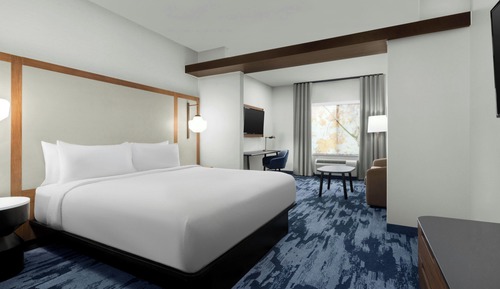 Suite, 1 King Bed with Sofa bed