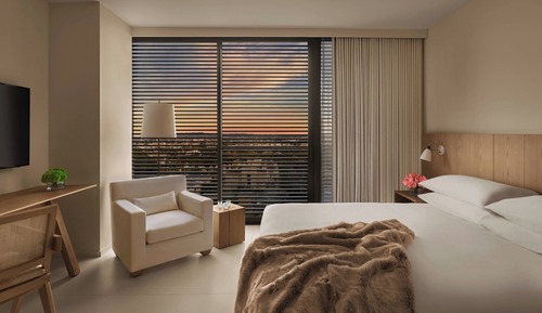 Superior Suite, 1 Bedroom (Mobility Accessible, Roll-In Shower)