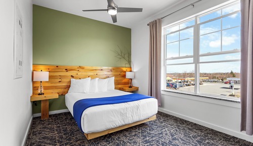 Pet Friendly Suite