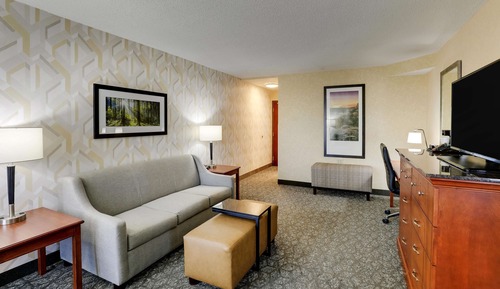 Suite, 1 King Bed with Sofa bed (Sofa Sleeper, 2 Rooms)