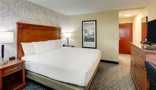 Room, 1 King Bed