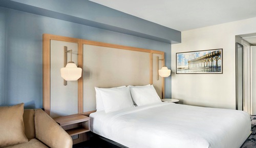 Room, 1 King Bed with Sofa bed
