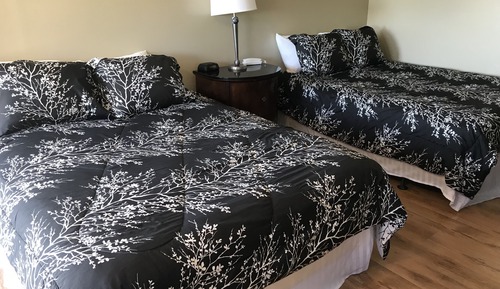 Standard Room, 2 Queen Beds, Refrigerator & Microwave