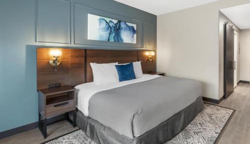 King Room with Walk-in Shower - Mobility Access/Non-Smoking