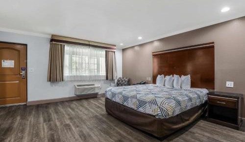 Deluxe King Suite