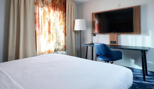 King Suite with Sofa Bed