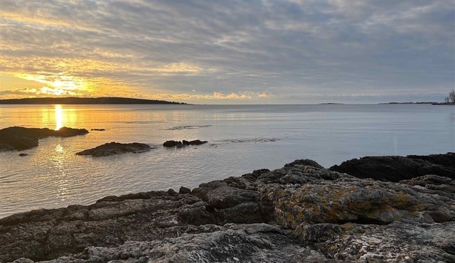 DRIFT INN COTTAGE-1 mile from Port Clyde & Walk to Drift Inn Beach, Dog-Friendly